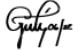 firma-1