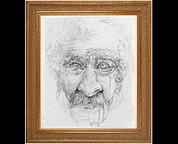 rostro-bipolar